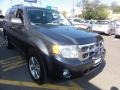 2009 Sterling Grey Metallic Ford Escape XLT V6 4WD  photo #12