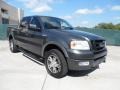 2004 Dark Shadow Grey Metallic Ford F150 FX4 SuperCrew 4x4  photo #1