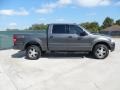 2004 Dark Shadow Grey Metallic Ford F150 FX4 SuperCrew 4x4  photo #2