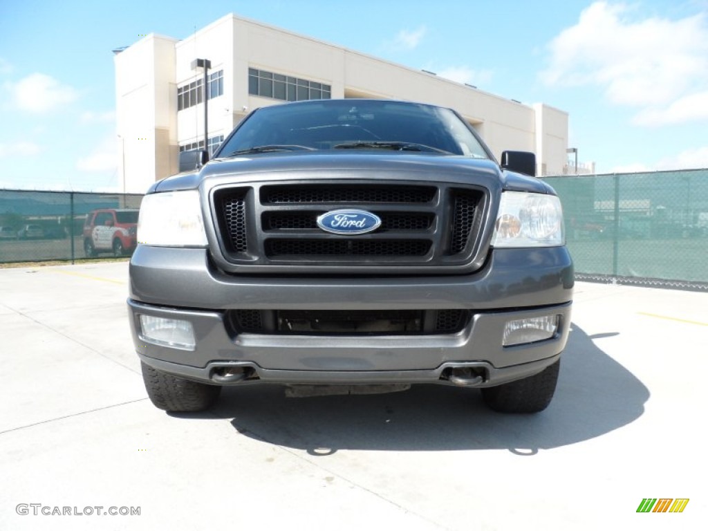 2004 F150 FX4 SuperCrew 4x4 - Dark Shadow Grey Metallic / Black/Medium Flint photo #9