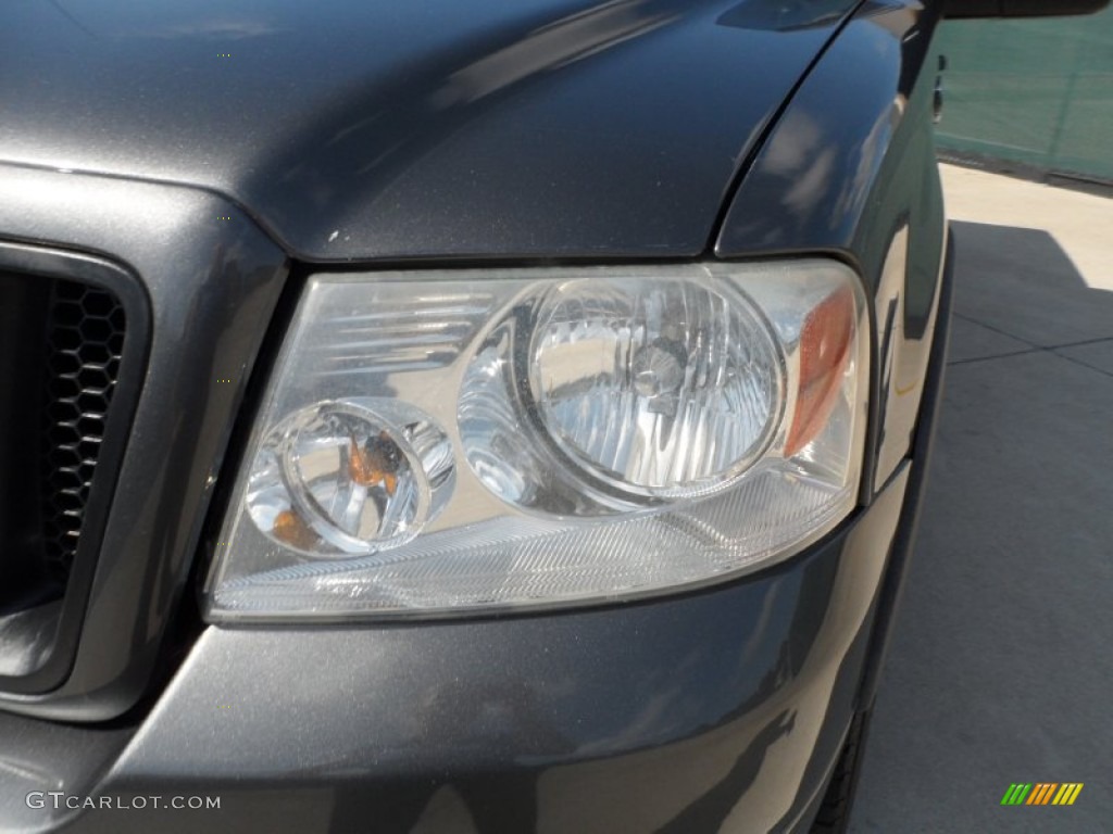 2004 F150 FX4 SuperCrew 4x4 - Dark Shadow Grey Metallic / Black/Medium Flint photo #10