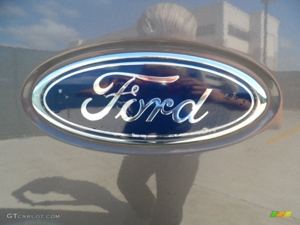 2004 F150 FX4 SuperCrew 4x4 - Dark Shadow Grey Metallic / Black/Medium Flint photo #21