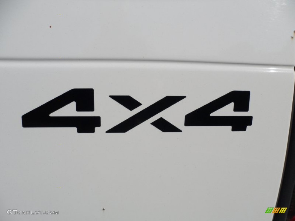 2001 Dodge Ram 1500 ST Club Cab 4x4 Marks and Logos Photo #55004425