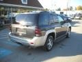 2007 Graphite Metallic Chevrolet TrailBlazer LT 4x4  photo #3