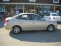 Laguna Sand - Elantra GLS Photo No. 2