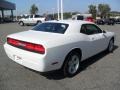 Bright White - Challenger SXT Photo No. 4