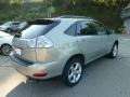Bamboo Pearl - RX 350 AWD Photo No. 2
