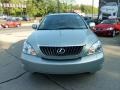 Bamboo Pearl - RX 350 AWD Photo No. 6