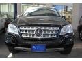 Black - ML 350 4Matic Photo No. 2