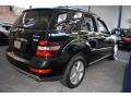 Black - ML 350 4Matic Photo No. 5