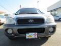 Pewter - Santa Fe GLS Photo No. 2