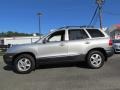 Pewter - Santa Fe GLS Photo No. 4