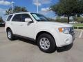 2010 White Suede Ford Escape Limited V6  photo #7