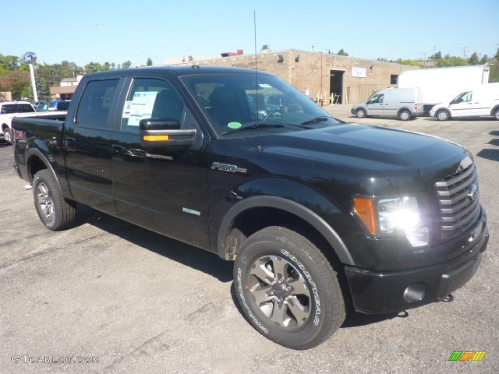 Ebony Black Ford F150