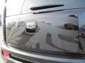 Shadow Black 2010 Kia Soul Shadow Dragon Special Edition Exterior