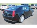 Black Raven - CTS 3.0 Sedan Photo No. 5