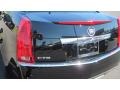Black Raven - CTS 3.0 Sedan Photo No. 16