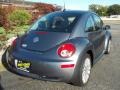 Platinum Grey - New Beetle SE Coupe Photo No. 5