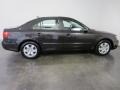 Willow Gray - Sonata GLS Photo No. 11