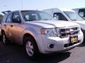 Silver Metallic - Escape XLS 4WD Photo No. 1