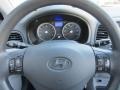 2010 Platinum Silver Hyundai Accent GLS 4 Door  photo #24