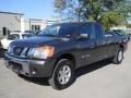 Smoke Gray 2009 Nissan Titan SE King Cab