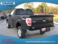 2011 Ebony Black Ford F150 XL Regular Cab 4x4  photo #8