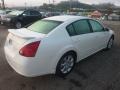 Winter Frost Pearl - Maxima 3.5 SL Photo No. 4