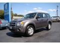 2009 Sterling Grey Metallic Ford Escape XLS  photo #4