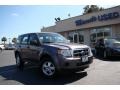2009 Sterling Grey Metallic Ford Escape XLS  photo #33