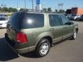 2002 Estate Green Metallic Ford Explorer XLT 4x4  photo #5