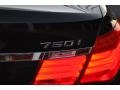 2010 BMW 7 Series 750i xDrive Sedan Badge and Logo Photo
