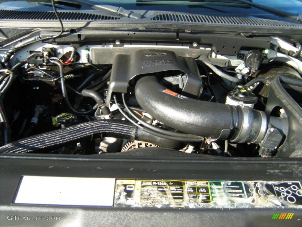 2003 Ford F150 XLT SuperCrew 4x4 4.6 Liter SOHC 16V Triton V8 Engine Photo #55048947