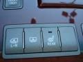 Cashmere Controls Photo for 2010 Lexus LS #55049708
