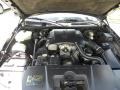  2001 Town Car Executive 4.6 Liter SOHC 16-Valve V8 Engine