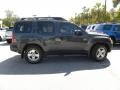 2006 Night Armor Pearl Nissan Xterra SE  photo #12