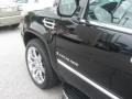 Black Raven - Escalade AWD Photo No. 50