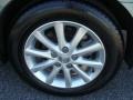 Aloe Green Metallic - Camry XLE Photo No. 14