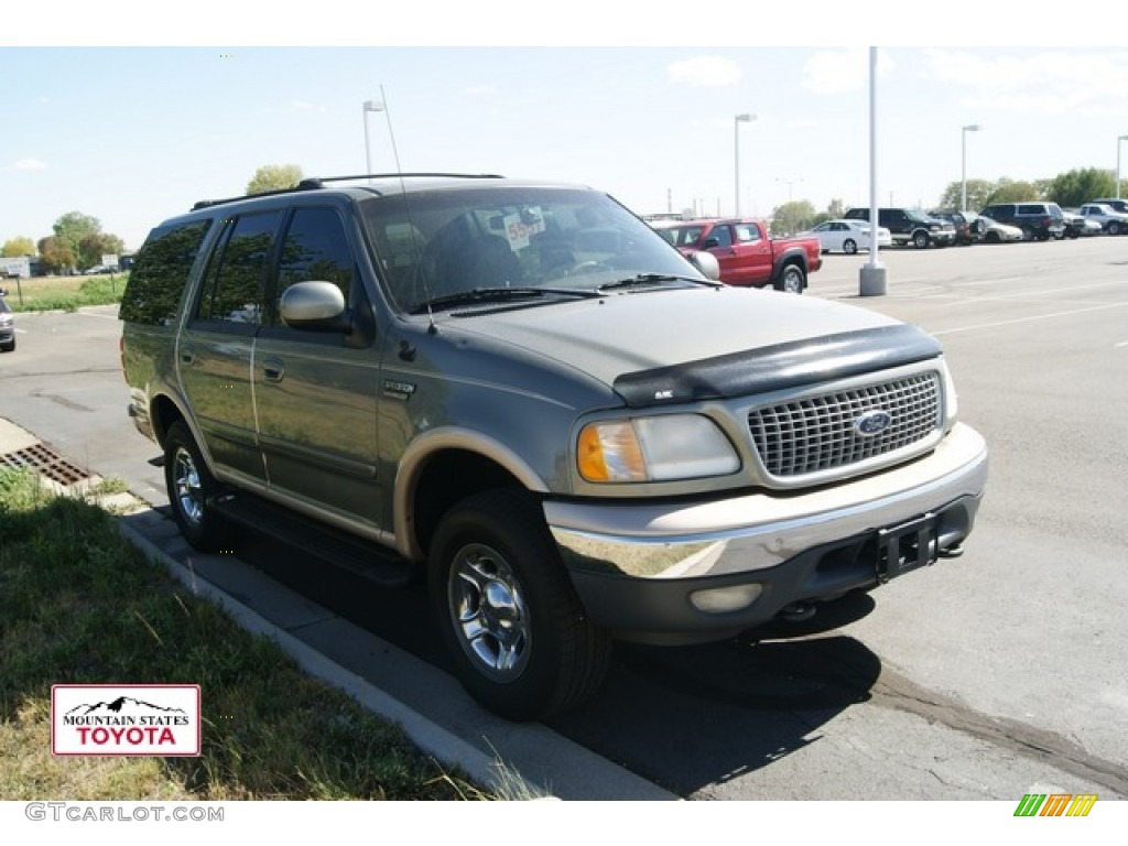 1999 Expedition Eddie Bauer 4x4 - Spruce Green Metallic / Medium Prairie Tan photo #1