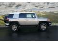 Silver Fresco Metallic - FJ Cruiser 4WD Photo No. 2