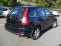 Crystal Black Pearl - CR-V LX 4WD Photo No. 4