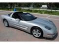Sebring Silver Metallic - Corvette Coupe Photo No. 9