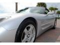 Sebring Silver Metallic - Corvette Coupe Photo No. 19