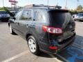 2010 Pacific Blue Pearl Hyundai Santa Fe Limited 4WD  photo #3