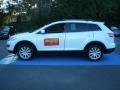 Crystal White Pearl Mica - CX-9 Sport Photo No. 9