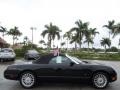 Evening Black - Thunderbird Premium Roadster Photo No. 5