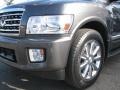 2008 Silver Graphite Gray Infiniti QX 56  photo #4