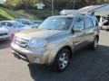 2010 Mocha Metallic Honda Pilot Touring 4WD  photo #3