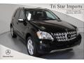 Black - ML 350 4Matic Photo No. 1