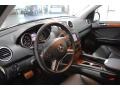 Black - ML 350 4Matic Photo No. 25